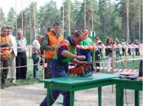Лес рубят: на Сумщине прошел конкурс свальщиков леса