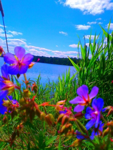 Озеро Олдыш – прекрасное место для отдыха