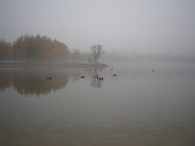 Озеро Чеха осенью