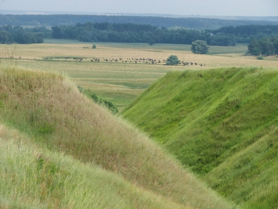 Строга геометрія Землі