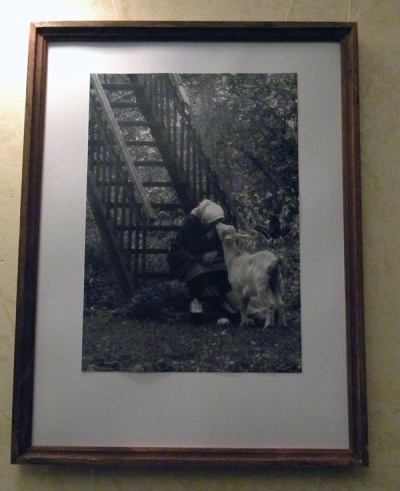 DSCN8917.JPG