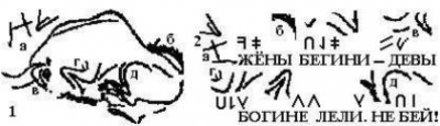 veles3.jpg