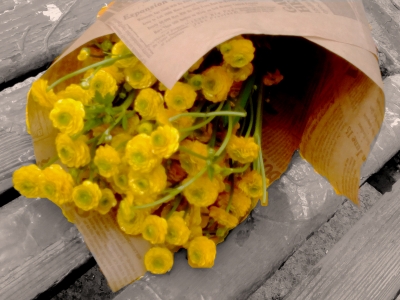 201305170221...jpg