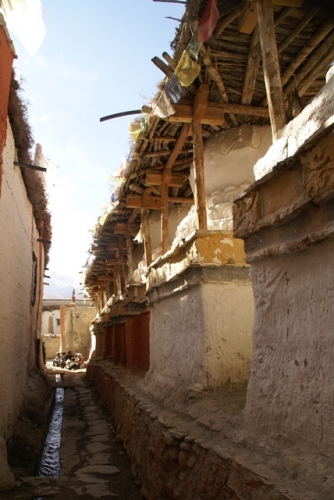 DSC01482.JPG