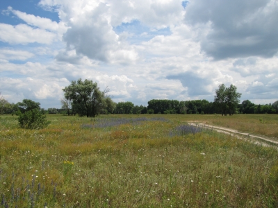Дорога в рай