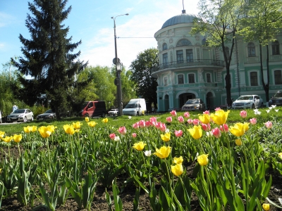 с видом на краеведческий музей