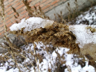 PIC_0914.JPG