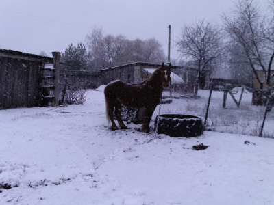 PIC_0922.JPG
