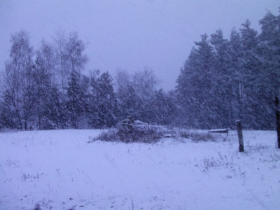 PIC_0938.JPG