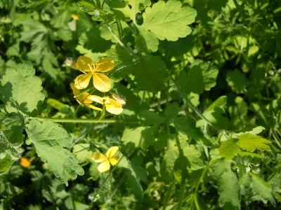 DSCN3865.jpg