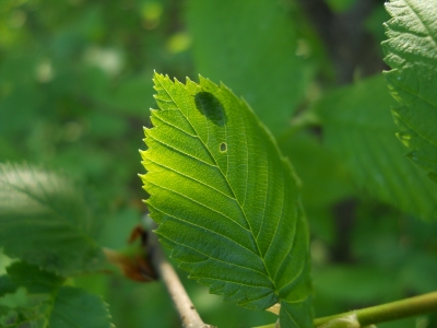 DSCN3877.JPG