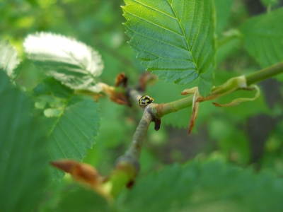 DSCN3878.JPG