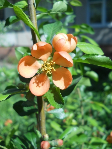 DSCN3907.jpg