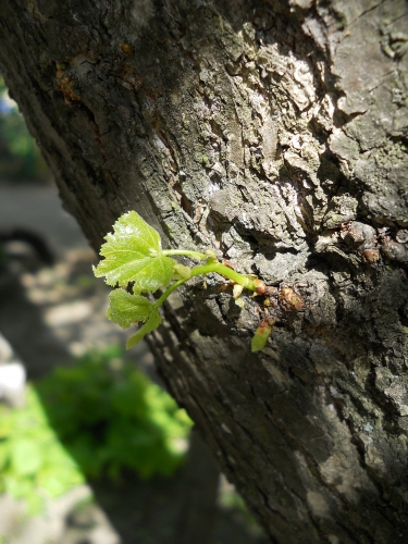 DSCN3922.jpg