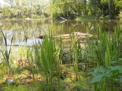 DSCN3966.JPG