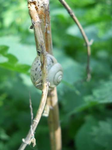 DSCN4022.jpg