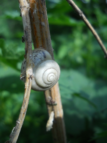 DSCN4023.jpg