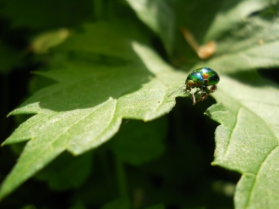 DSCN4029.JPG