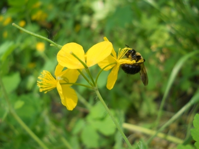 DSCN4133.JPG