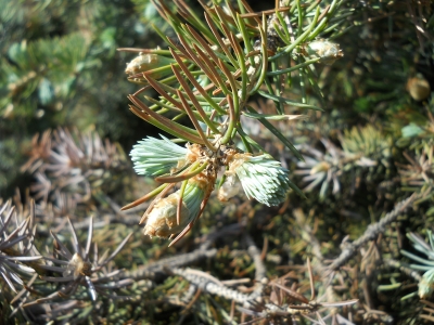 DSCN4253.JPG