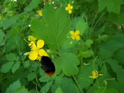 DSCN4350.JPG