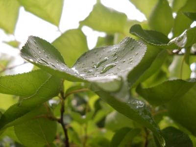 DSCN4661.JPG