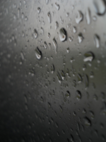 DSCN5739.JPG