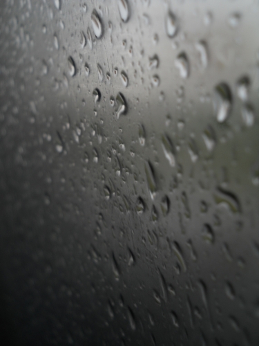 DSCN5740.JPG
