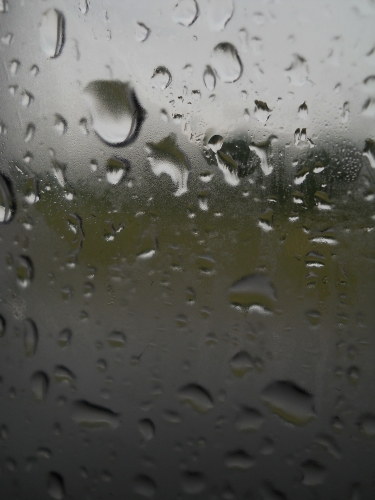 DSCN5746.JPG