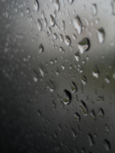 DSCN5748.JPG