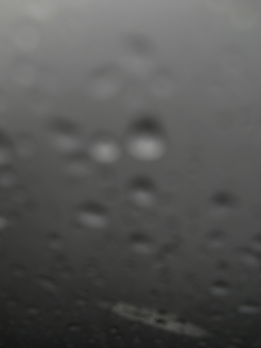 DSCN5754.JPG