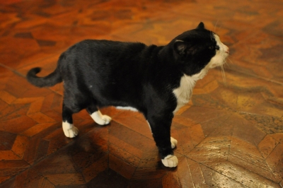 77.jpg