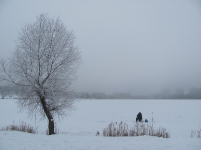 Ловись, рыбка