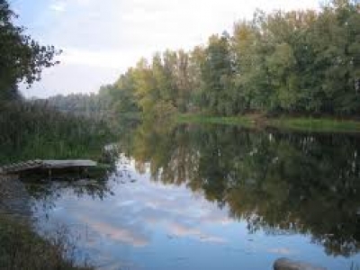 р.Псел