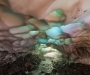 Точка на карте: ледяная пещера на Камчатке