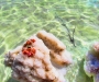 Точка на карте: мертвое море - живая красота