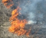 В Сумской области от возгорания травы погибло две женщины
