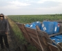 З Молдови в Україну: на підводі хлопець транспортував каністри зі спиртом