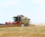 В Сумской области уже намолотили первый миллион зерна