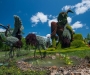 Ботанический сад канадского Монреаля проводит крупнейшую в мире выставку скульптур из цветов (фото)