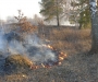 В Сумской области чуть не сгорел ландшафтный заказник (фото)
