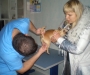 В Сумском районе ветеринар попался на взятке