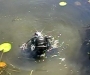 На Сумщине в водоеме обнаружили мину (фото) (видео)