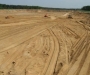 В Сумском районе украли песка больше, чем на 100 тысяч гривен