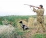 До 1 мая охота на Сумщине запрещена, нарушителей будут наказывать