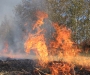 МинЧС ликвидировало возгорание торфяников в Сумской области