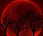 В воскресенье 27 сентября земляне смогут наблюдать "кровавую луну"