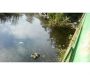 Власти думают, что грязное озеро в центре Сум на самом деле - чистое