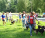 Сумчани стали частиною фестивалю «Друг з притулку» (Фото)