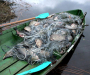 Рыбаков-браконьеров задержали на Сумщине с поличным